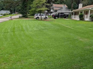 Anoop N.'s lawn care services service result