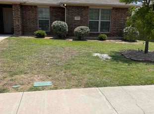 Wayne S.'s Bush Trimming service result