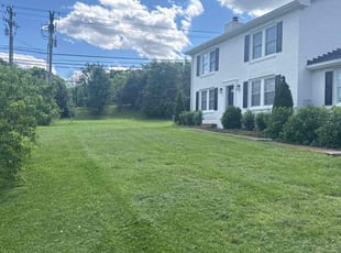 Liza S.'s lawn maintenance service result