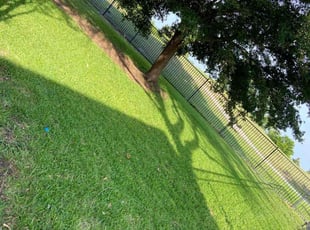 Grace O.'s lawn care service result