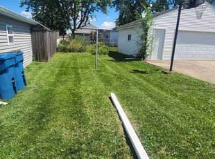 Stephen M.'s turf maintenance service result