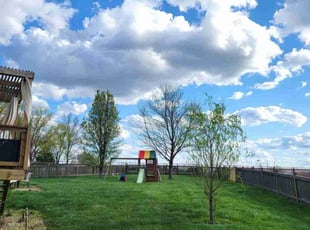 Scotty G.'s lawn maintenance service result