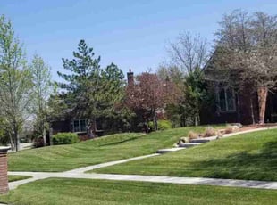Vincent L.'s lawn service service result