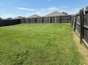 Carmen J.'s lawn service service result