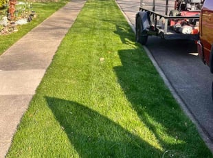 Maria V.'s turf maintenance service result