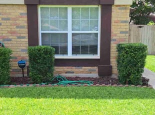 Min T.'s Bush Trimming service result