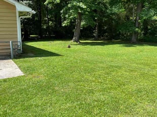 Marilyn B.'s lawn care service result