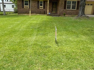 Peter A.'s lawn care services service result