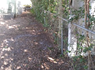 Brenda J.'s Bush Trimming service result