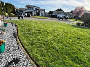 Kye M.'s turf maintenance service result
