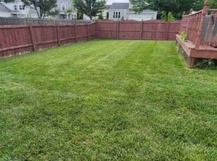 Jenna U.'s yard work service result
