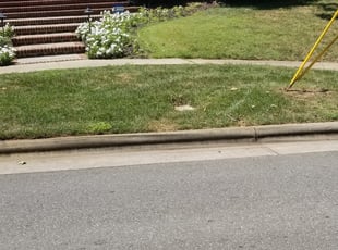 Darnell M.'s Bush Trimming service result