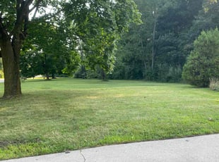 Reagan M.'s lawn service service result