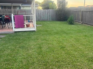 Janelle C.'s grass cutting service result