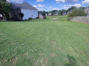 Hydra B.'s grass maintenance service result