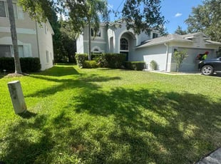 Joseph D.'s grass cutting service result