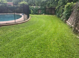 Maylene M.'s turf maintenance service result