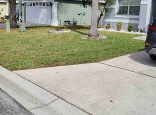 Louis J.'s turf care service result