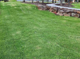 Tim M.'s grass maintenance service result