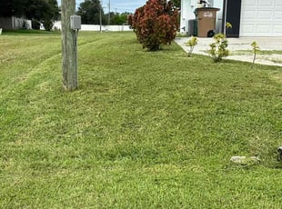 Jimmy W.'s turf care service result