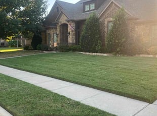 Princess B.'s grass cutting service result