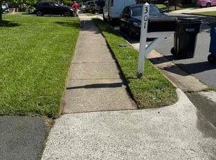 Meng W.'s lawn maintenance service result