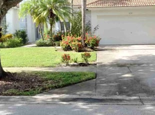 Shannon B.'s turf care service result