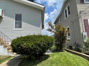 Stan C.'s turf care service result