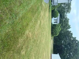 Kathleen B.'s lawn maintenance service result