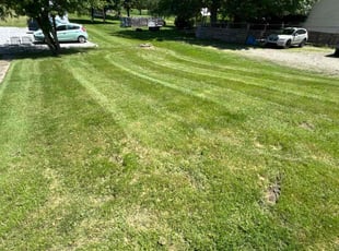 Julie L.'s lawn maintenance service result