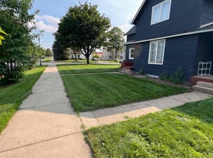 Ruby R.'s grass cutting service result