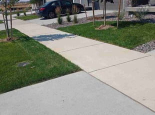 Michael G.'s turf maintenance service result