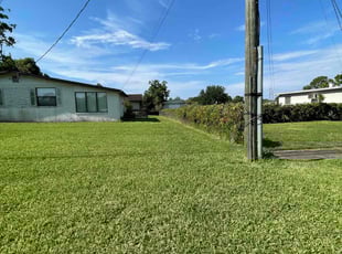 Kyman S.'s lawn care services service result
