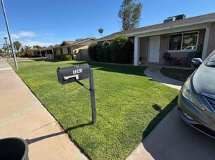 James C.'s turf maintenance service result