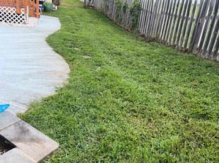 Jim or Sharon A.'s turf care service result