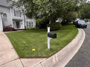 Brandon E.'s lawn care services service result