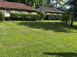 Zee B.'s grass maintenance service result