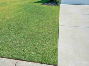 Randolph W.'s lawn service service result