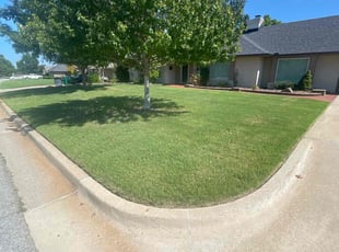 Kenneth U.'s grass cutting service result