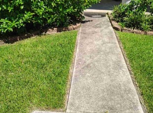 Lindsay D.'s lawn care services service result