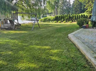 Lindsay F.'s grass maintenance service result