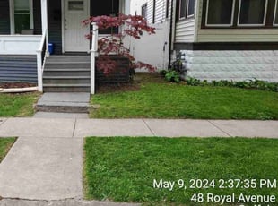 Affordable R.'s turf care service result