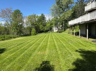 Lisa G.'s grass cutting service result