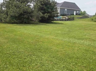 Van N.'s lawn care services service result
