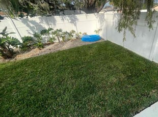 Argie G.'s Leaf Removal service result