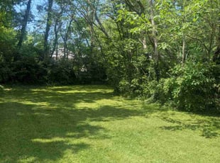 Lloyd F.'s turf care service result