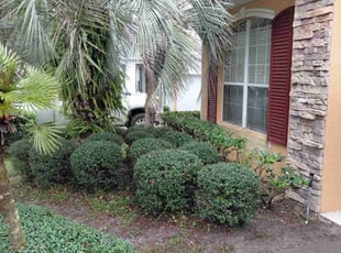 Bob B.'s Bush Trimming service result