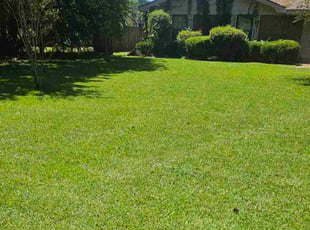 Erin P.'s lawn maintenance service result