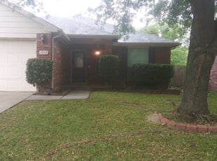Thomas D.'s Bush Trimming service result