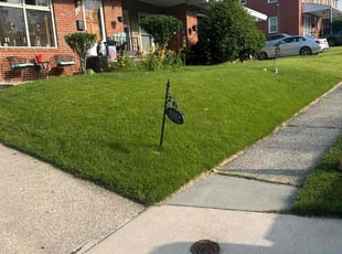 Jacob V.'s grass cutting service result